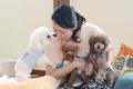 「災害時も愛犬と離れない」葛飾区・新小岩「わんこと