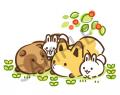 祝・アニメ化！『タヌキとキツネ』　アカツキメディア