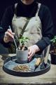 南区の植物専門店「PLANTHINK」が札幌中心部へ！初の