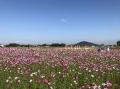 「飛鳥・藤原の宮都」世界遺産登録記念ツアー「utf-8