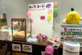 【レモンガス】昭島市で「夏のガス展」を開催!ガス展 【レモンガス】昭島市で「夏のガス展」を開催!ガス展