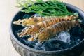 【石井食品】熊本の生産者とつくる、創業以来初の『地