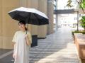 暑さ対策やゲリラ豪雨に備えてオフィスで傘シェア!法 暑さ対策やゲリラ豪雨に備えてオフィスで傘シェア!法