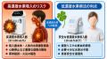 低濃度水素吸入の遺伝子発現プロファイリング 15 年系 低濃度水素吸入の遺伝子発現プロファイリング 15 年系