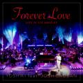 30年の時を経て、「Forever Love」が世界へ　YOSHIKI×