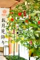 【定山渓 鹿の湯・花もみじ】秋の名月に、そっと願い