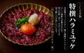 【東京3店舗目】大阪・羽曳野発「焼肉こじま」が新宿 【東京3店舗目】大阪・羽曳野発「焼肉こじま」が新宿