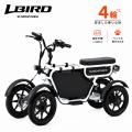 特定小型原付4輪モデル「LBIRD」をもっと便利に。豪華