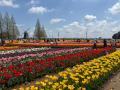 【千葉県柏市】あけぼの山公園を中心とした「地域の新