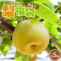 石川県加賀市の「梨 福袋」が楽天ふるさと納税総合ラ