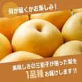 石川県加賀市の「梨 福袋」が楽天ふるさと納税総合ラ
