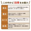 石川県加賀市の「梨 福袋」が楽天ふるさと納税総合ラ