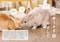 【話題の最新号！】　すべてのうさぎラバー必読、『う