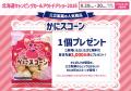 いよいよ今週末開催！「北海道キャンピングカー＆アウ