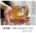 「ゆめ・まち 大人の社会科見学in池田＆宝塚」9utf-8