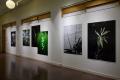 【東京工芸大学】日本・スウェーデンの写真学生utf-8 【東京工芸大学】日本・スウェーデンの写真学生utf-8