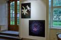 【東京工芸大学】日本・スウェーデンの写真学生utf-8 【東京工芸大学】日本・スウェーデンの写真学生utf-8