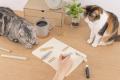 パタパタめくれるクリップ型しおり「パタップ」から猫