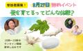 自宅で10頭の蚕を育て、命のつながりを体験「小さな命 自宅で10頭の蚕を育て、命のつながりを体験「小さな命