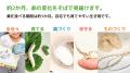 自宅で10頭の蚕を育て、命のつながりを体験「小さな命 自宅で10頭の蚕を育て、命のつながりを体験「小さな命