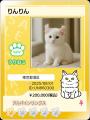 ねこ専用コミュニティ「ねこみっけ」Android版をリリ