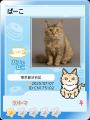 ねこ専用コミュニティ「ねこみっけ」Android版をリリ
