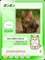 ねこ専用コミュニティ「ねこみっけ」Android版をリリ