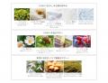 天然由来成分100％・スキンケアメイクブランド「Natur