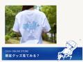 「チル」が見つかる体験型メディア「Chill＋」KNT-CT