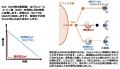 腸内バクテリアの「盗み聞き」戦略を解明 ～腸内utf-8