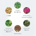 【ラ・カスタ】じんわり温感でゆるめて落とす「頭皮用