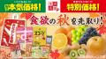 食欲の秋を先取り！ローソンストア100「9月の生活応援