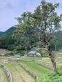 【福岡県庁】地元ガイドの案内で竹棚田を歩き、美しい 【福岡県庁】地元ガイドの案内で竹棚田を歩き、美しい