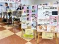 地域ぐるみの保護猫支援、4年目の今年は42社が協賛し