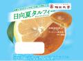 【福岡大学】企業と協働して開発した商品を学生自ら販