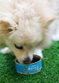 愛犬の災害備蓄・非常食に！おいもスイーツ専門utf-8