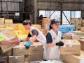【令和8年熊本地震・発災1か月】台湾、九州、全国から
