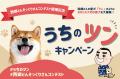 見た目だけじゃない！あなたが思う“西郷さんらしさ”を