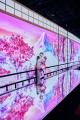 一旗プロデュース「動き出す浮世絵展 HIROSHIMA」来場