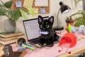 『リトルキティ・ビッグシティ～まいごの子猫の街さん