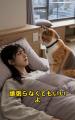 MeowsterのAI猫たちが短編ドラマデビュー｜オリジナル