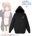 『やはり俺の青春ラブコメはまちがっている。完』から