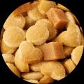 愛犬の「食べない」「食べにくい」に着目した新しい選 愛犬の「食べない」「食べにくい」に着目した新しい選