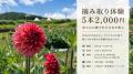 「素人同然の私でも」 山梨・山中湖村で始まったダリ 「素人同然の私でも」 山梨・山中湖村で始まったダリ