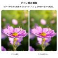 手持ちのEFレンズをもう一度活躍させる。AF対応のK&F 