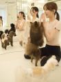 愛犬と“ととのう”新習慣。広尾駅徒歩10秒に常設ドッグ