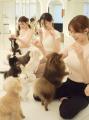 愛犬と“ととのう”新習慣。広尾駅徒歩10秒に常設ドッグ