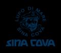 【SINA COVA(シナコバ)】日本上陸45周年を迎える202 【SINA COVA(シナコバ)】日本上陸45周年を迎える202