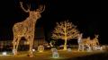 【2026年9月5日（土）GRAND OPEN！】約40万球の光×2万