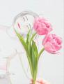 イラストレーター・南夏希氏の個展『Beautiful Life』